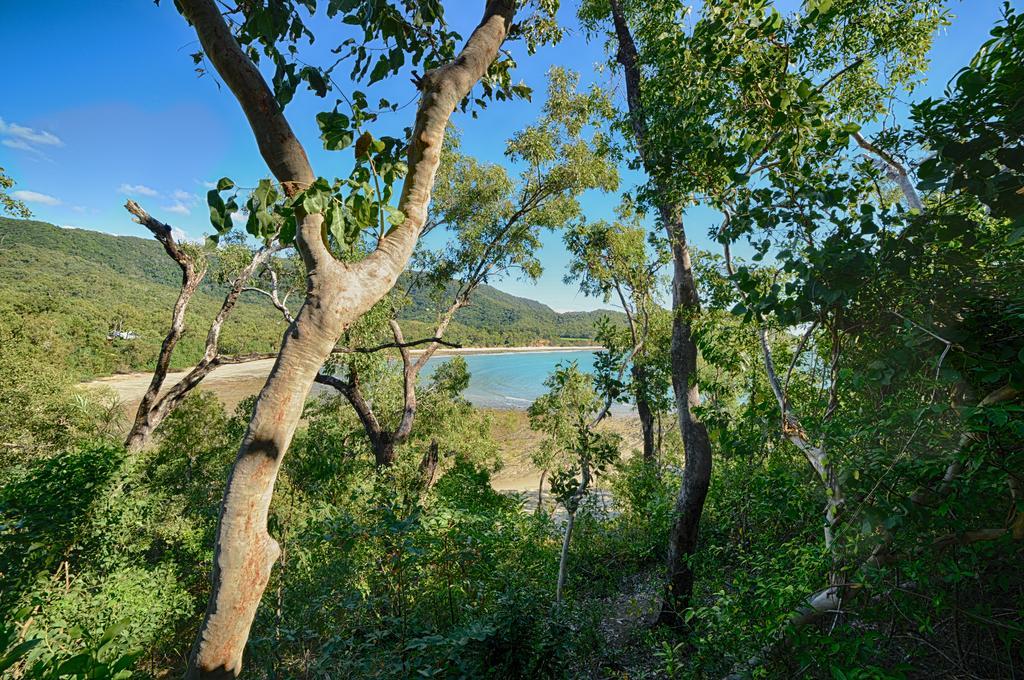 Thala Beach Nature Reserve Порт Дуглас Экстерьер фото